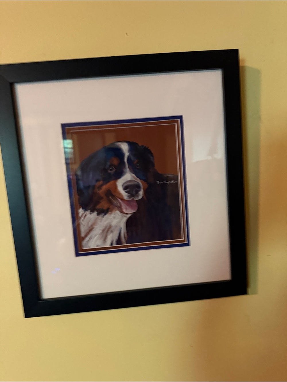 Framed Bernese Mountain Dog Wall Art - by Pam Hostetler